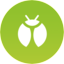 bug