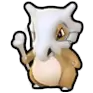 Cubone