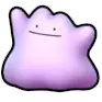 Ditto