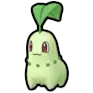 Chikorita