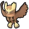 Noctowl