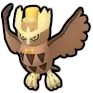 Noctowl