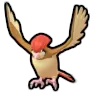 Pidgeotto