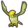 Pidgeotto
