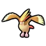 Pidgeot
