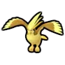 Pidgeot