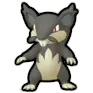 Alolan Rattata