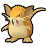 Raticate