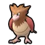 Spearow