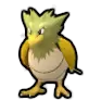 Spearow