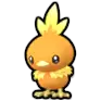 Torchic