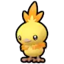 Torchic