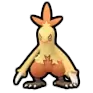 Combusken