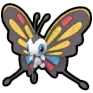 Beautifly