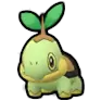 Turtwig