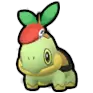 Turtwig