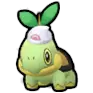 Turtwig
