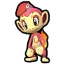 Chimchar
