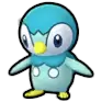Piplup