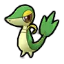 Snivy