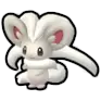 Cinccino