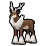 Sawsbuck (Winter)