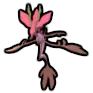 Dragalge