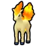 Ponyta