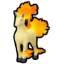 Rapidash