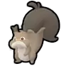 Skwovet