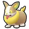 Yamper