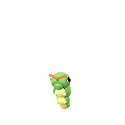 Caterpie