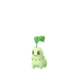 Chikorita