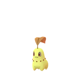 Chikorita