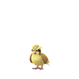 Pidgey