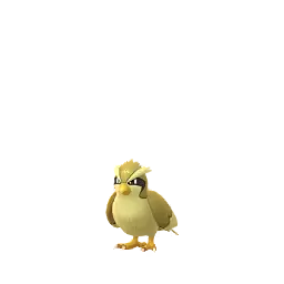 Pidgey