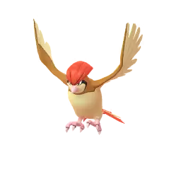 Pidgeotto