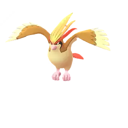 Pidgeot