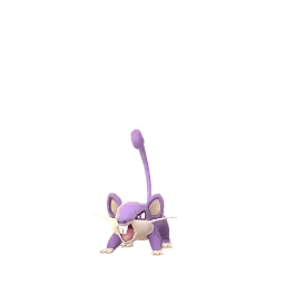 Rattata