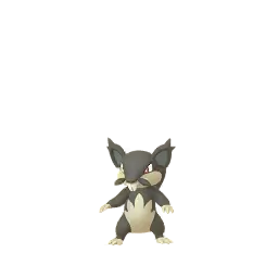 Alolan Rattata