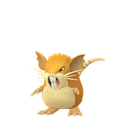 Raticate