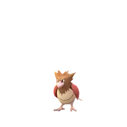 Spearow