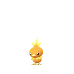 Torchic