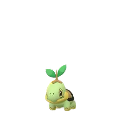 Turtwig