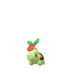 Turtwig