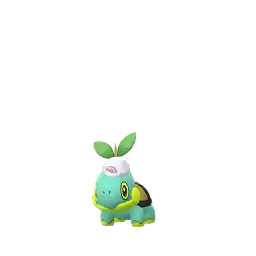 Turtwig