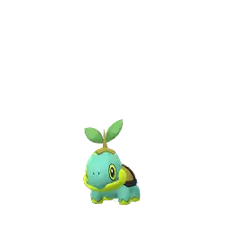 Turtwig