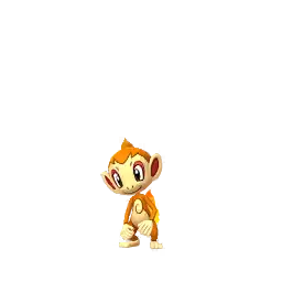 Chimchar