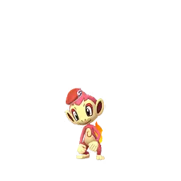 Chimchar