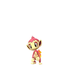 Chimchar